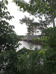 Pont et feuillage / Bridge among foliage