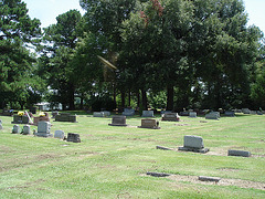 Monuments sur gazon assoiffé / Funeral thirsty grass - July 8th 2010.