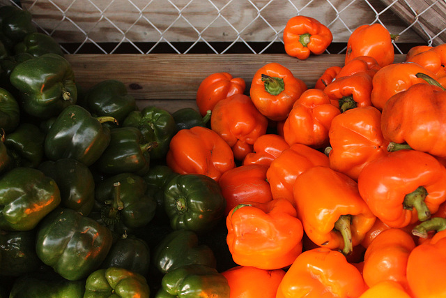 Peppers, Barbour's Produce