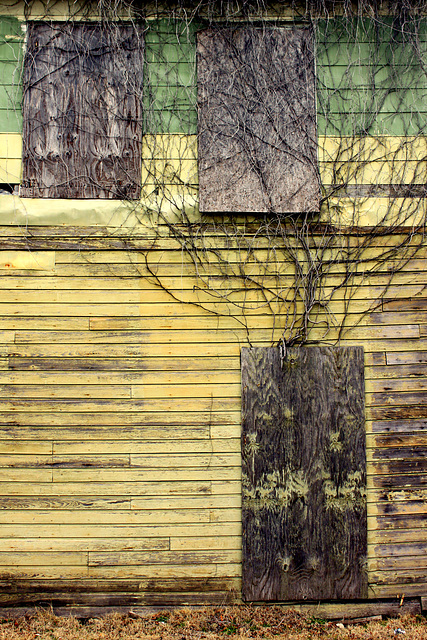Boarded up, overgrown