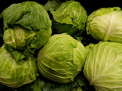 Cabbage at Harris Teeter