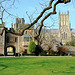 Wells Cathedral (Reprise)