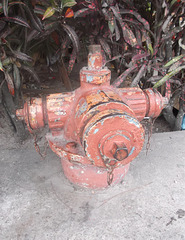 Borne à incendie panaméenne / Panamanian fire hydrant.