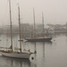 Harbor mist 3