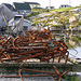 Rusty Anchors – Peggy's Cove, Nova Scotia