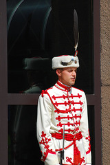 Bulgarian guard