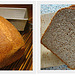 100% Whole Wheat Honey Oatmeal Bread