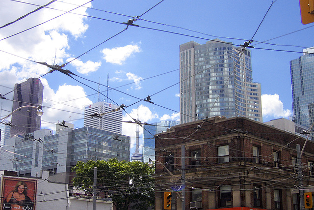 Crossed Wires – Dundas and Church Streets, Toronto, Ontario