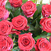 Rosen für die Mama