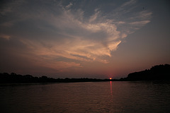 Pantanal sunset