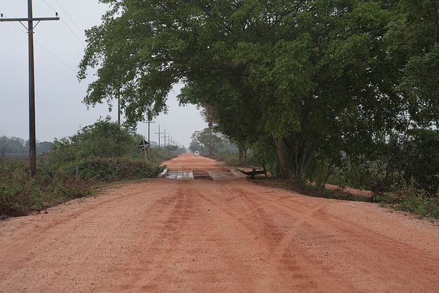The Transpantaneira road