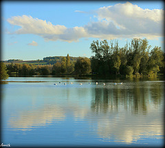 ♪ ♫ ♪ ♫ ♪Swan Lake - Tchaikovsky ♫ ♪ ♫ ♪ ♫