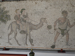 Musée de la mosaïque : chameau.