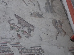 Musée de la mosaïque : gladiateurs et tigre