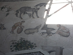 Musée de la mosaïque : berger à la traite.