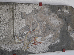 Musée de la mosaïque : ours déchirant une antilope.