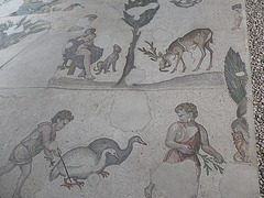 Musée de la mosaïque : scène diverses.