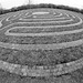 Maze at Canterbury