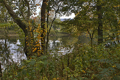 South Fork of the Shenandoah River