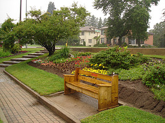 Woody park bench / Banc de parc en boiserie luxueuse - 16 août 2009