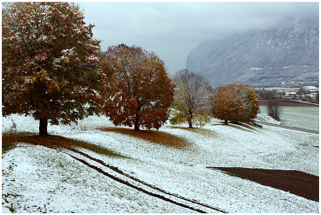 Herbst-Winter-Landschaft