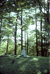 Tanglewood graveyard