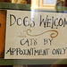 Cats by appointment