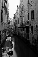 Venice (11)