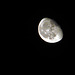 Mond 03.11.12