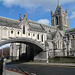 The Bridge, Christ Church Cathedral, Dublin
