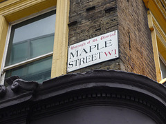 Maple Street W1