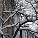 Snow, tree, houses