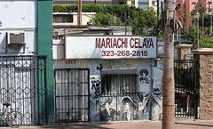 Mariachi Celaya (7084)