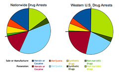 American Drug Arrest Percentages For 2011