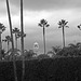 (11-12-06) Great LA Walk - Paramount