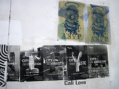 Cali Love (3306)