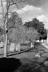 Roll in a day (No 15): Watton at Stone churchyard (2)