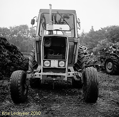 Old Tractor (5)