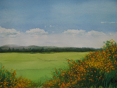 memory of Bretagne France, May 2012=memoro pri Bretonio Francio, majo 2012_watercolor=akvarelo_34x53cm(10m)_2012_Song Ho