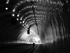 Los Angeles 2nd Street Tunnel (08-26-20)