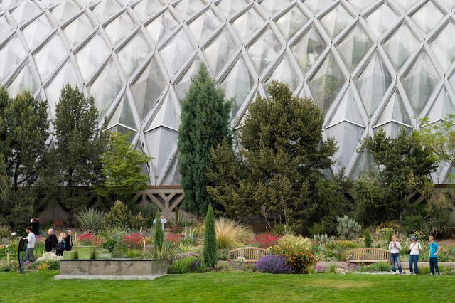 Denver Botanical Gardens (6)