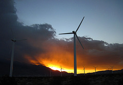 Sunset with wind turbines (3366)