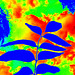 blua foliaro laŭ Warhole