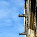 Gargouilles cathédrale de Bourges 2