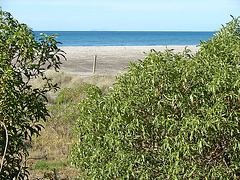 Pikowai beach from camp