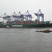 Containerschiff   EVER SALUTE