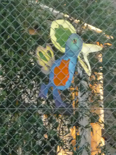 Parrot on the fence