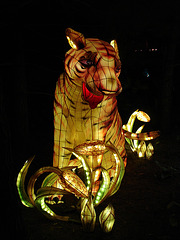 La magie des lanternes chinoises / The magic of chinese lanterns - 10 septembre 2010.