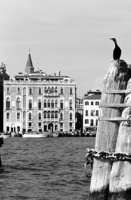 Venice in monochrome (6)