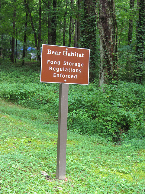 Bear Habitat